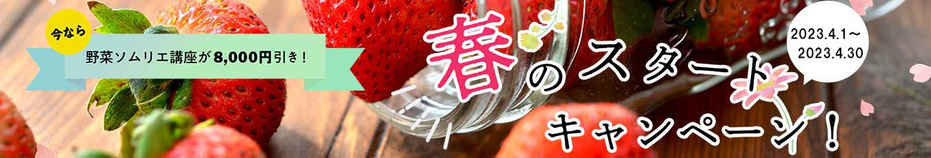 夢の応援キャンペーン
