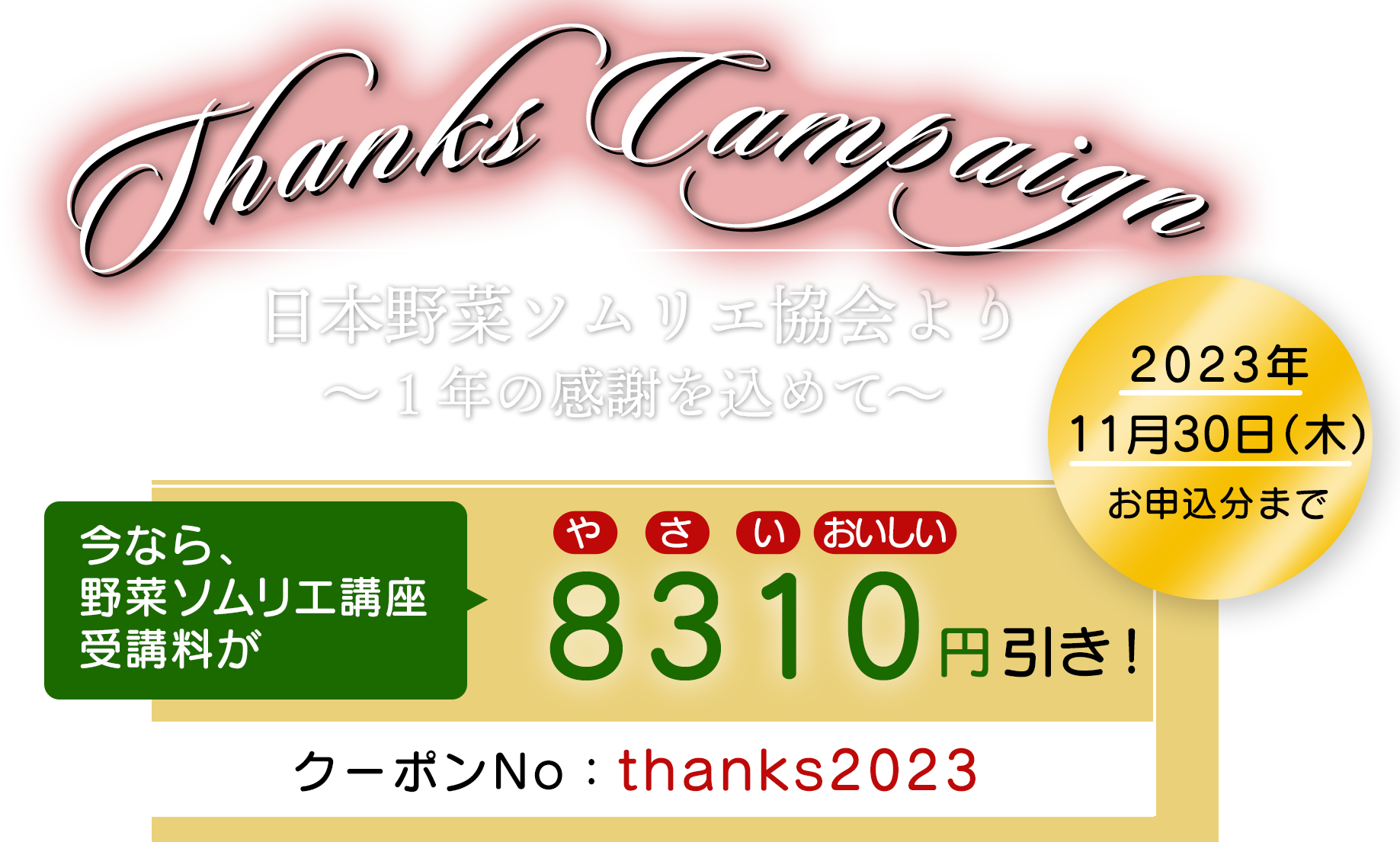thanks-campaign