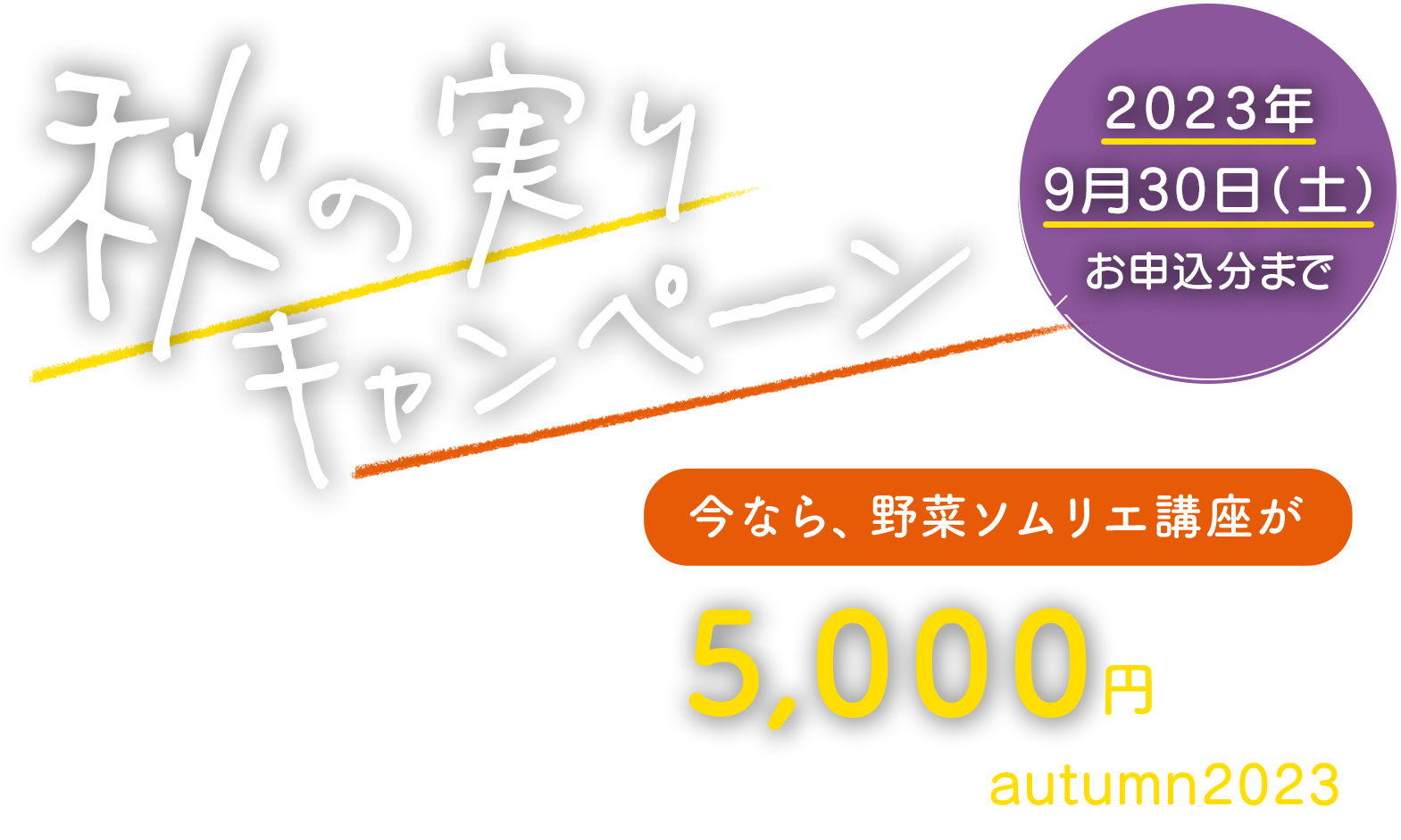 秋の実りキャンペーン