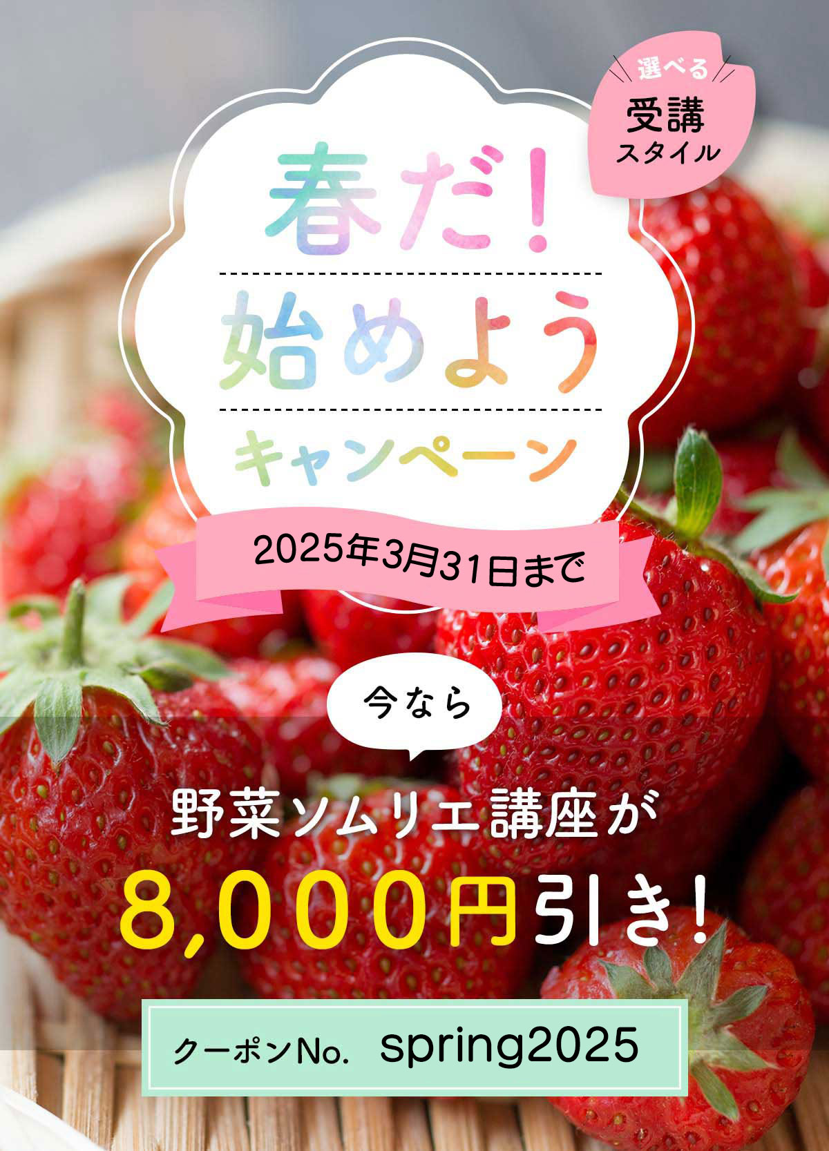 春だ！始めよう キャンペーン！