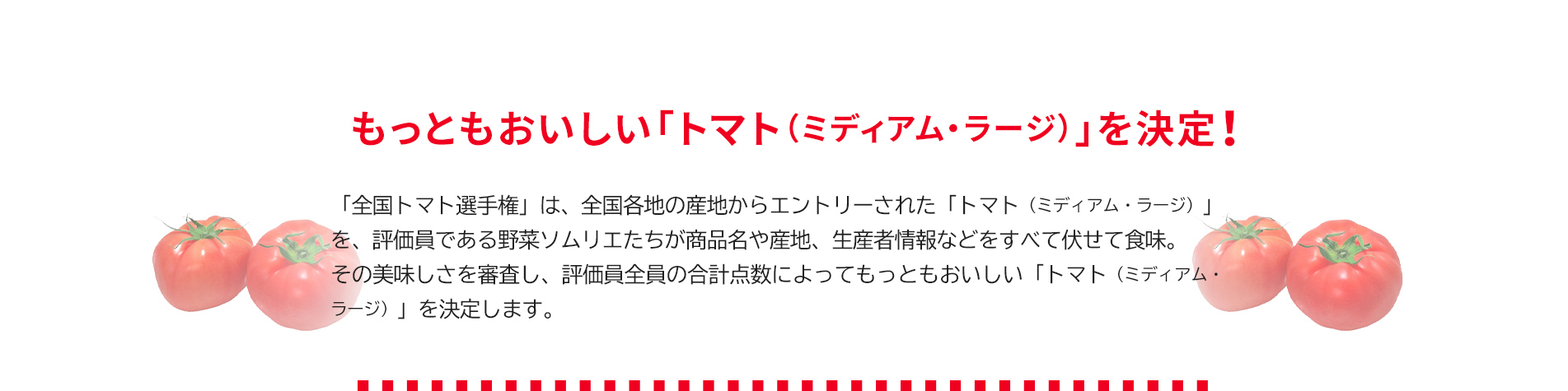 第2回 全国トマト選手権（ミディアム・ラージ）