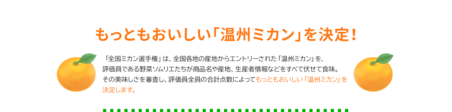 第3回 全国ミカン選手権