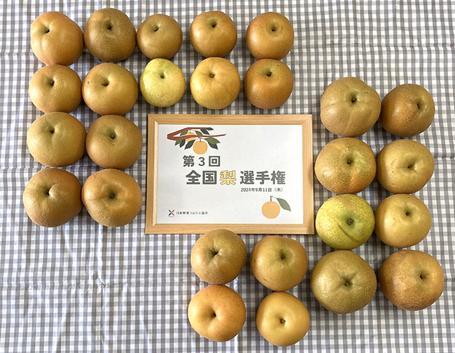 リード1
