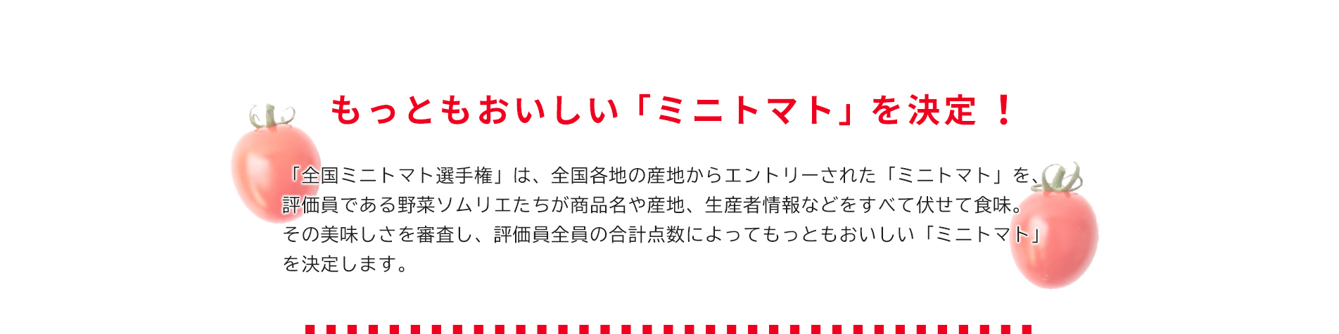 第2回 全国ミニトマト選手権