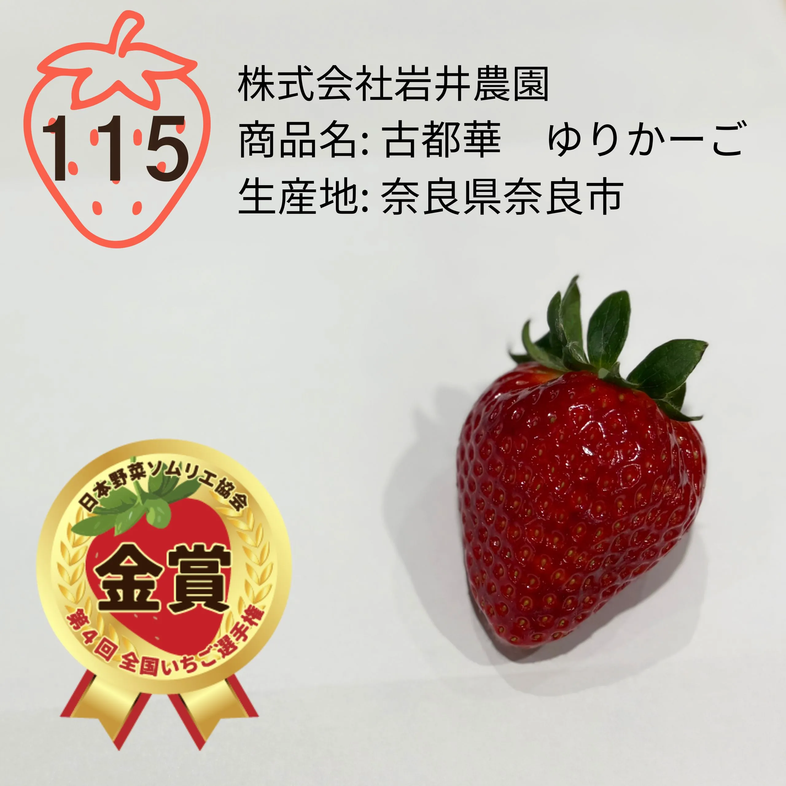 いちご様　確認用　5点 山西いちご園 さちのか 4P - 徳島県勝浦町｜ふるさとチョイス