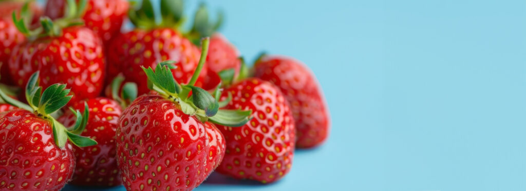 第3回 全国いちご選手権