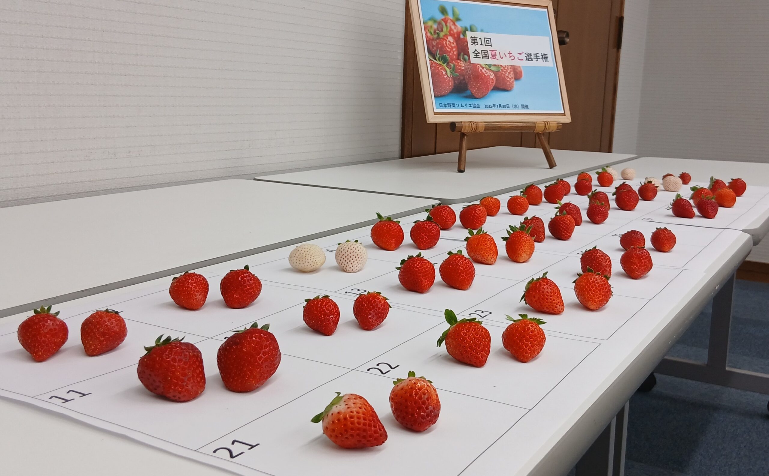 第2回 全国夏いちご選手権｜全国青果物選手権｜日本野菜ソムリエ協会