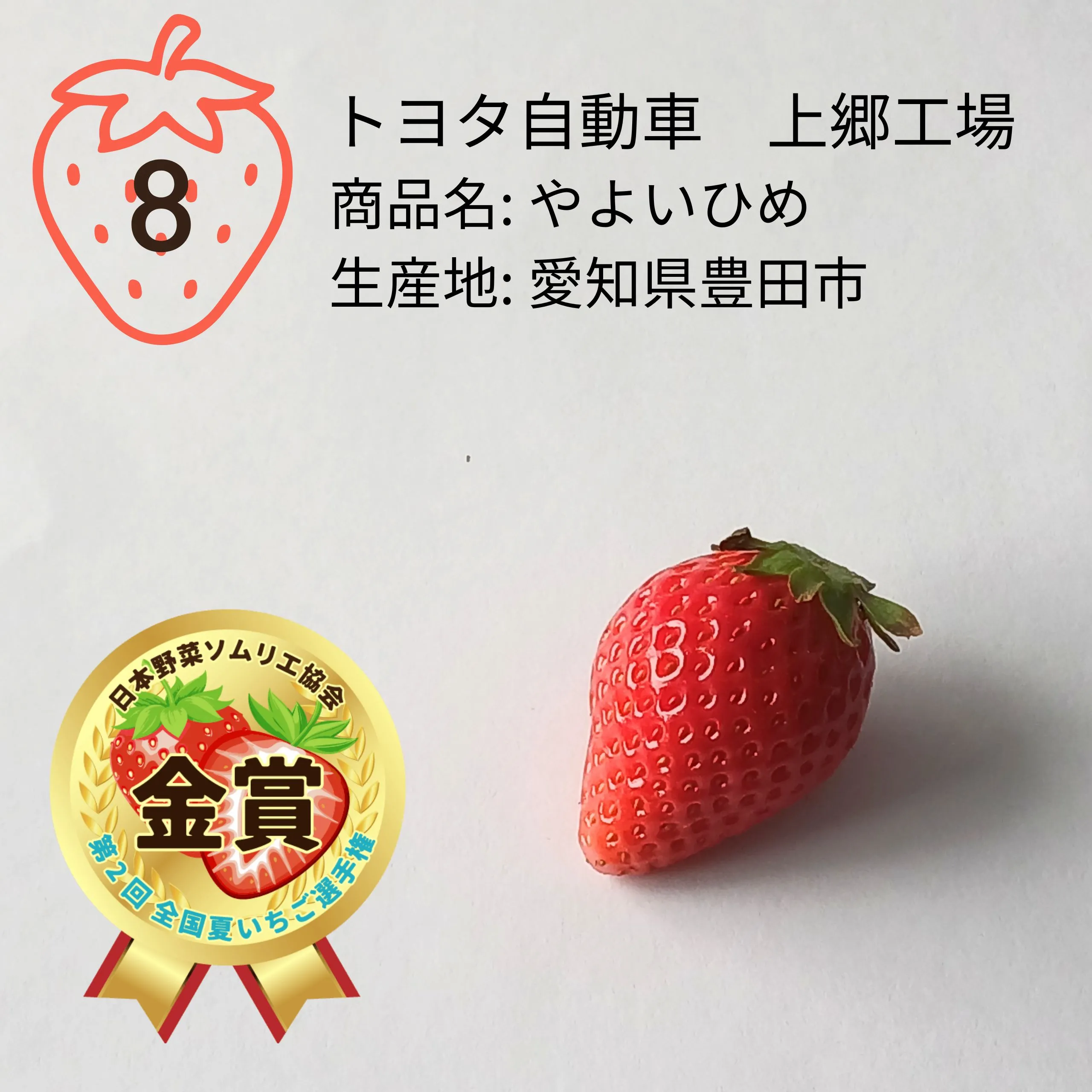 第2回 全国夏いちご選手権｜全国青果物選手権｜日本野菜ソムリエ協会