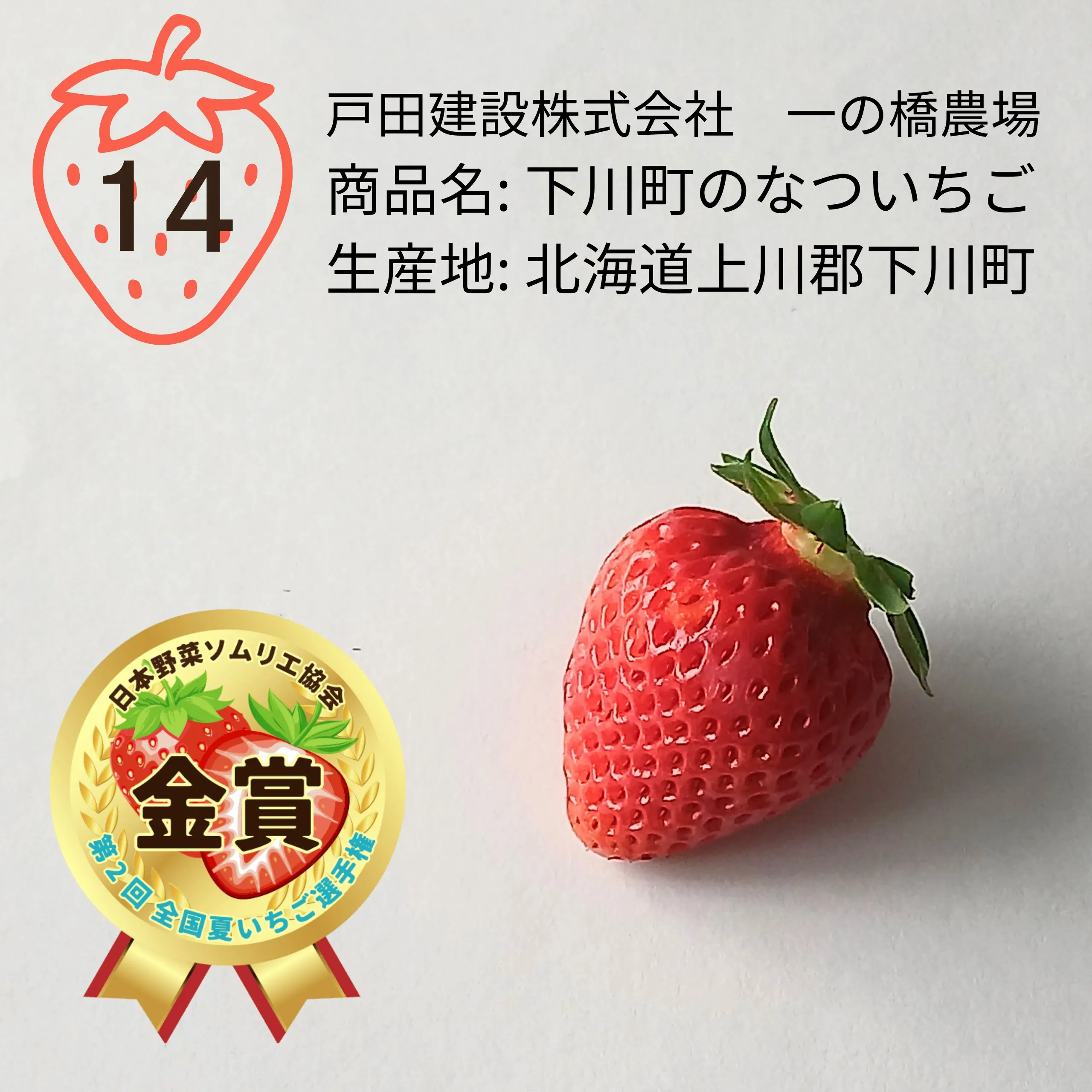 第2回 全国夏いちご選手権｜全国青果物選手権｜日本野菜ソムリエ協会