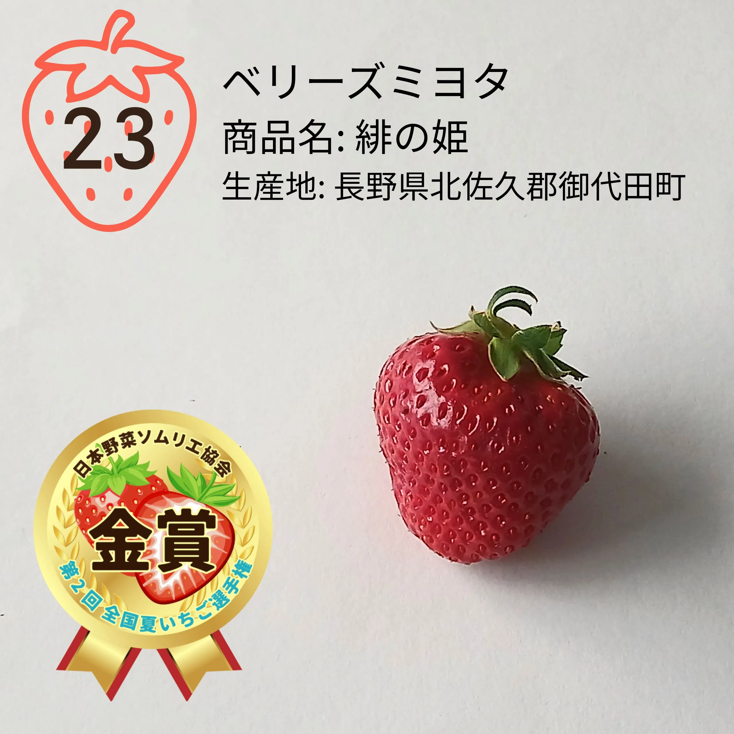 第2回 全国夏いちご選手権｜全国青果物選手権｜日本野菜ソムリエ協会