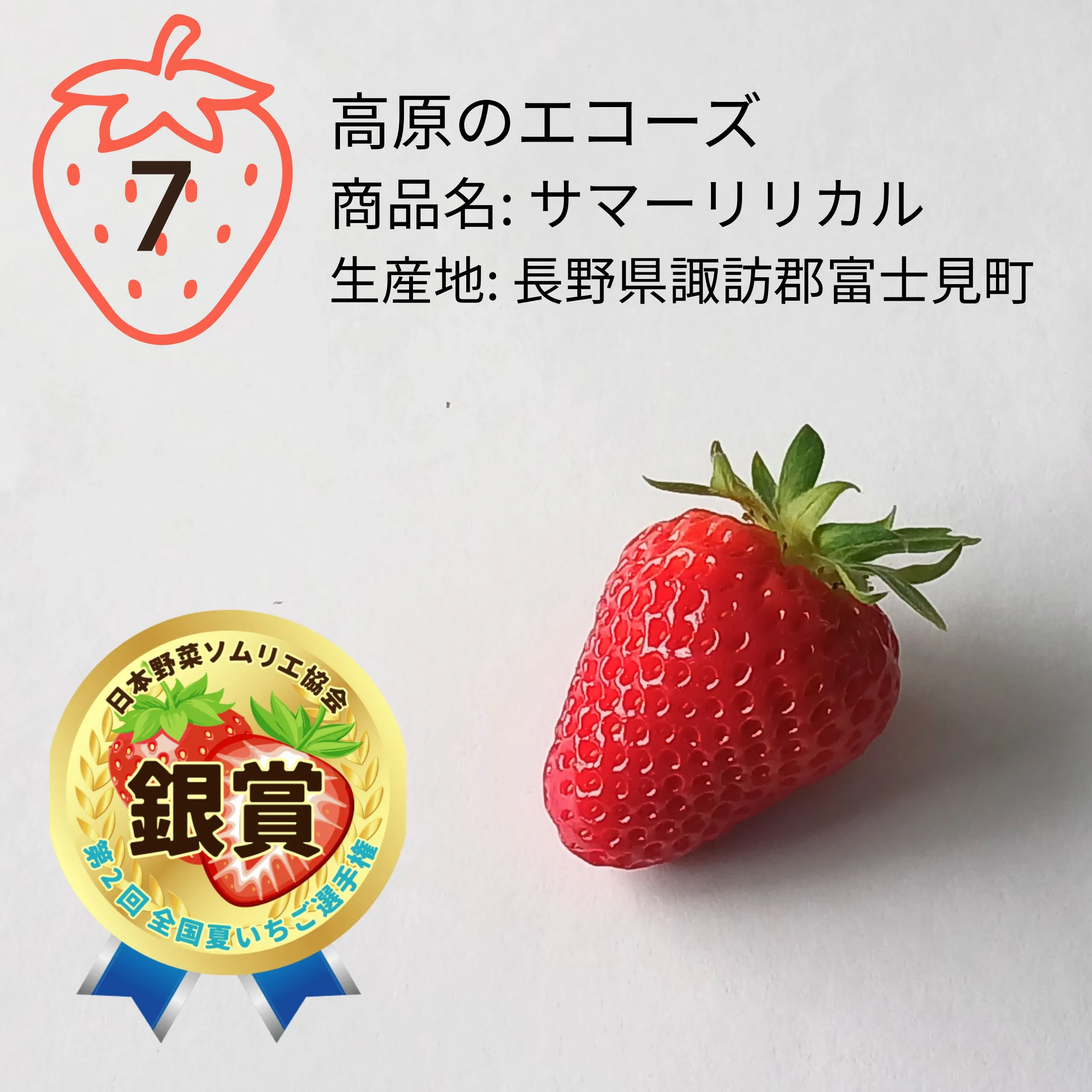 いちご様　リクエストページ。 第2回 全国夏いちご選手権｜全国青果物選手権｜日本野菜ソムリエ協会