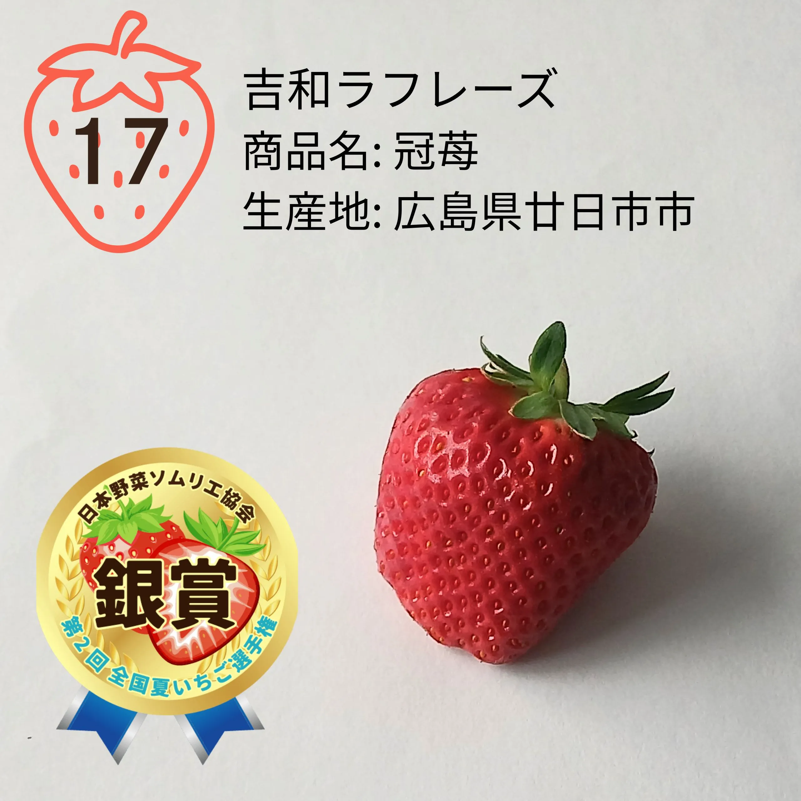 第2回 全国夏いちご選手権｜全国青果物選手権｜日本野菜ソムリエ協会