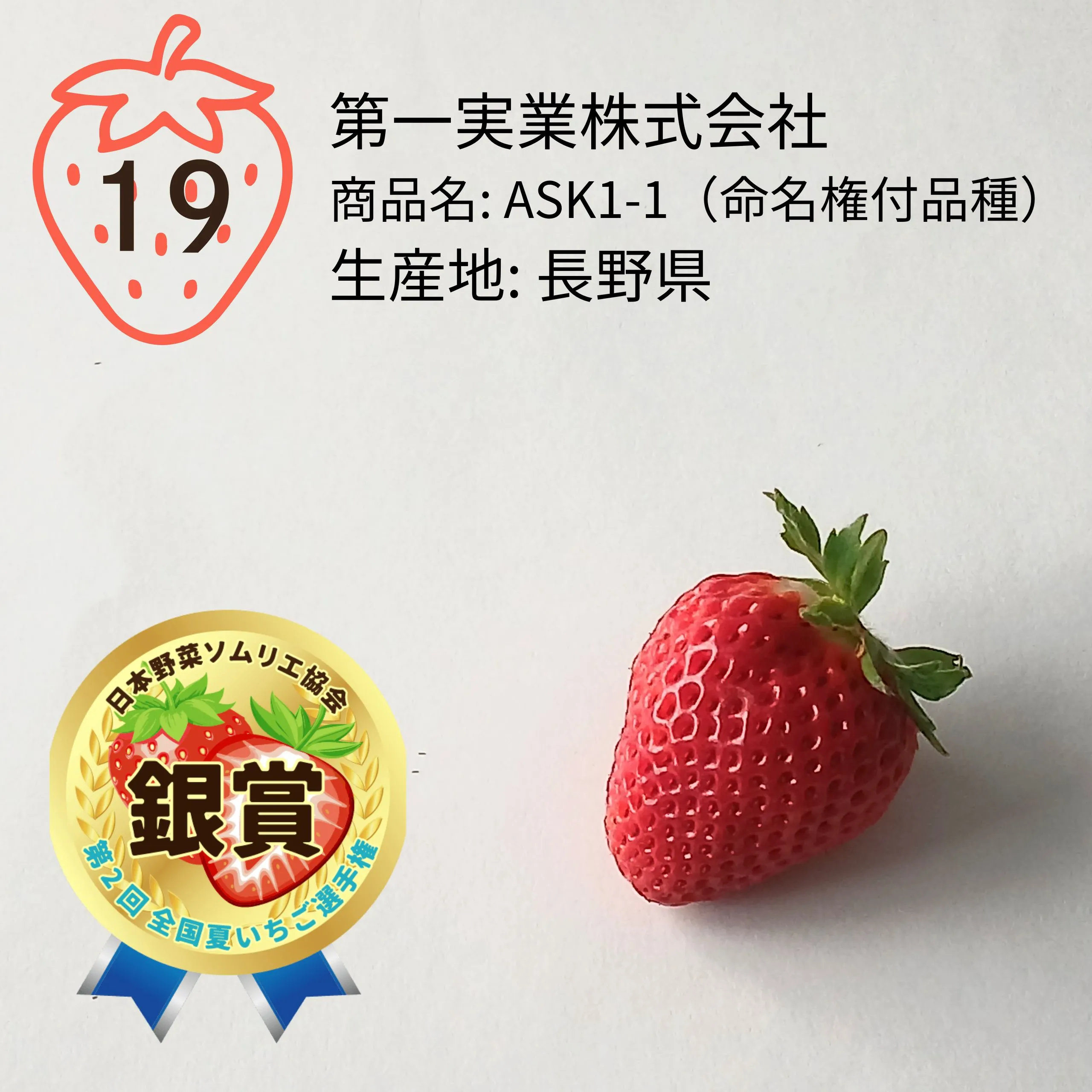 いちごページ 第2回 全国夏いちご選手権｜全国青果物選手権｜日本野菜ソムリエ協会