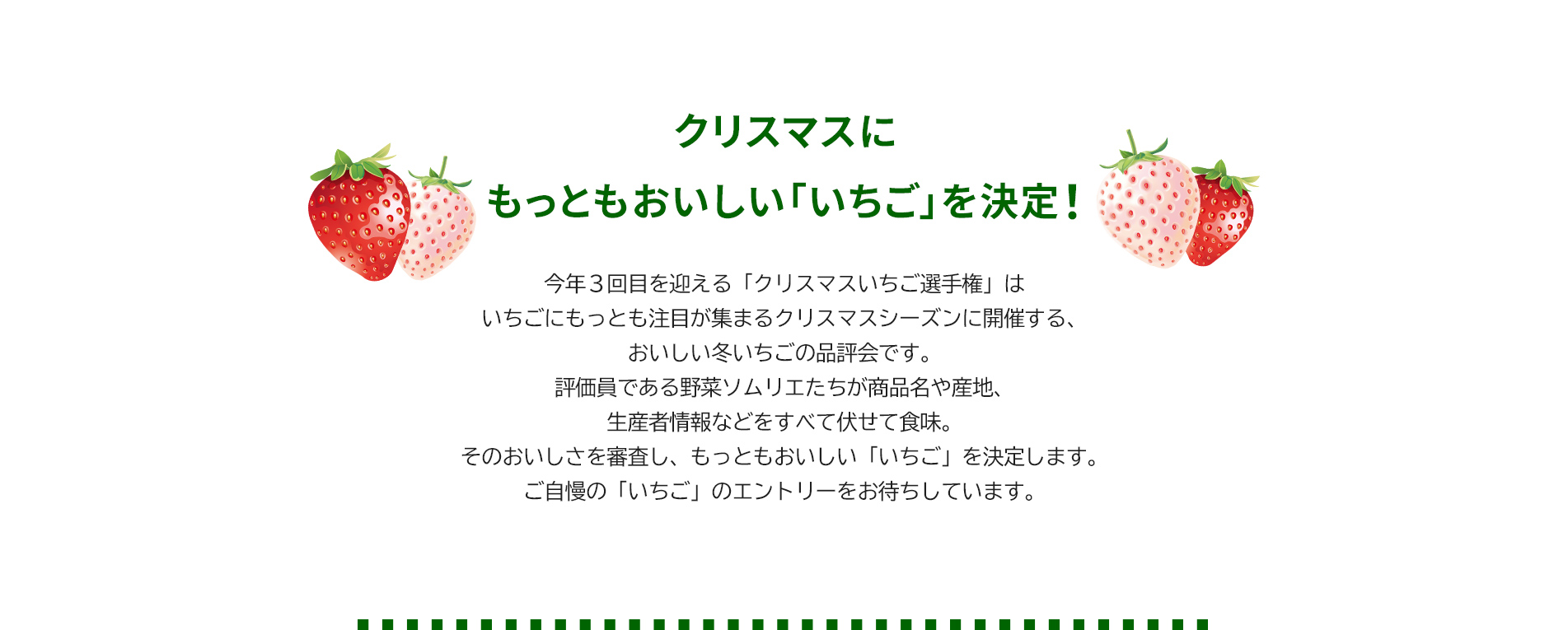 第3回 クリスマスいちご選手権